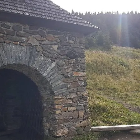 Velky Sophia Velké Losiny