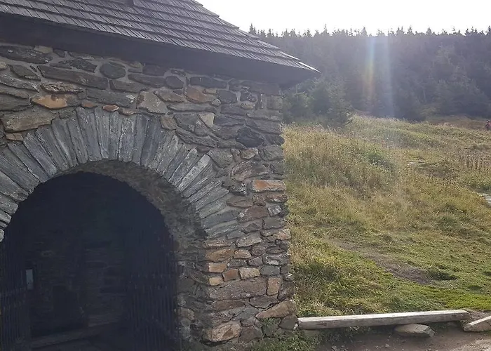 Velky Sophia Velké Losiny